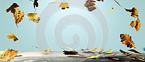 Autumn seasonal background with falling leaves - 3D