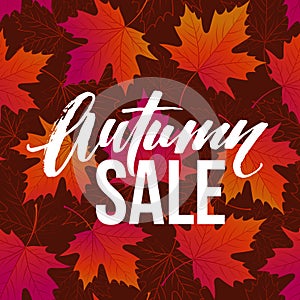 Autumn seasonal banner design. Fall leaf. Vector illustration