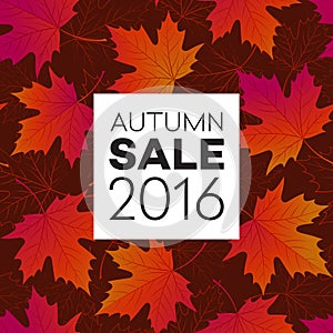 Autumn seasonal banner design. Fall leaf. Vector illustration