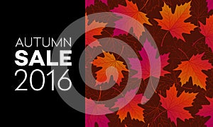 Autumn seasonal banner design. Fall leaf. Vector illustration