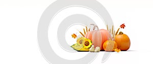 Autumn seasonal concept with pumpkins and fall decorations on white background 3d render