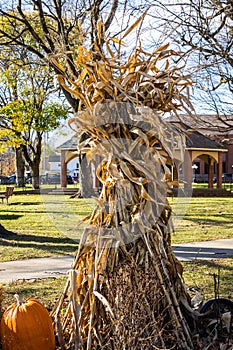 An autumn seasonal display of pumpkins, straw and corn stalks
