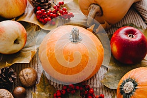 Autumn seasonal harvest. Fruits and vegetables background. Pumpkin close-up, red apples, nuts and rowan berries.