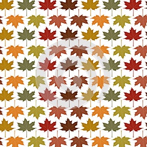 Autumn Seasonal pattern background with colourful Maple leaves