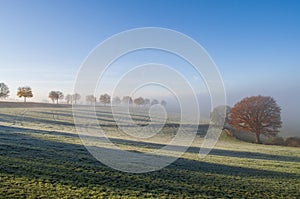 Autumn seasonal scenery in the early cold morning with fog and clear blue sky