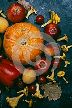 Autumn seasonal vegetables and fruits pumpkin, pear, apples, corn, chanterelles. Autumn products from the farm, or garden