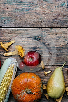 Autumn seasonal vegetables and fruits pumpkin, pear, apples, corn, chanterelles. Autumn products from the farm, or garden