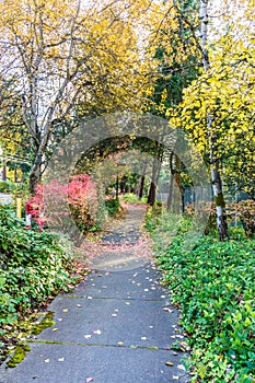 Autumn Seatac Sidewalk 2