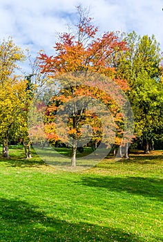 Autumn At Seattle Park 2