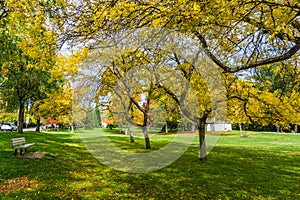 Autumn At Seattle Park 6