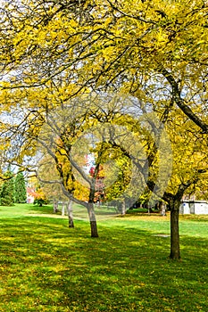 Autumn At Seattle Park 8