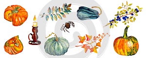 Autumn set with compositions of pumpkins, autumn leaves, birds. Hand drawn watercolor illustration. Rustic holiday decor