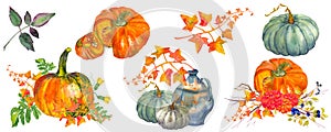 Autumn set with compositions of pumpkins, autumn leaves, birds. Hand drawn watercolor illustration. Rustic holiday decor