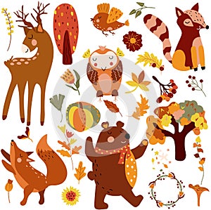 Autumn set, cute woodland animals cute deer, cunning fox, owl and others autumn elements, colored trees, autumn leaves