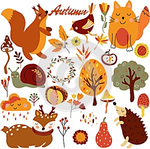 Autumn set,cute woodland animals and elements autumn cute squirrel, cat, hedgehog, bird, colored trees, autumn leaves