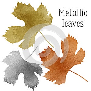 Autumn set of different fall grapevine leaves with golden, silver, bronze textures. Flat lay