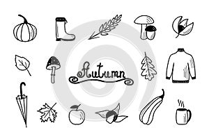 Autumn set of elements, fall vector objects, doodle style