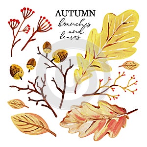 Autumn set with hand-drawn decorative branches, oak leaves, acorns, berries