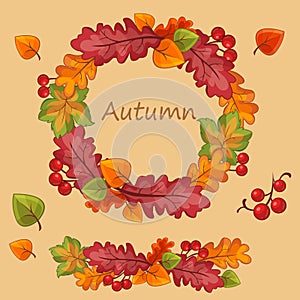 Autumn set of leafs and viburnum on light background