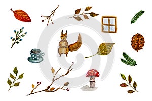 Autumn set with leaves and squirrel. Watercolor..Leaves, pine cones, twigs, squirrel, cup of hot coffee, berries. Isolated on