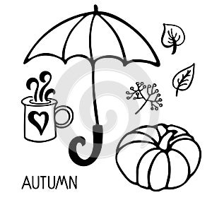 Autumn set. Linear black and white doodle sketch. Pumpkins, leaves, umbrella, berries, hot drink. Hand drawn fall design elements