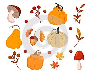 Autumn set, pumpkins, mushrooms, acorns, rowan and maple leaves. Autumn print, decor elements