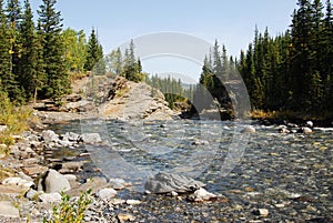 Autumn sheep river valley