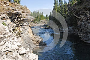Autumn sheep river valley