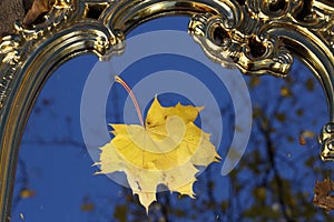 Autumn sheet of a maple on a mirror in sky reflexion