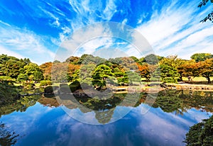 Autumn in the Shinjuku park, Tokyo, Japan. Copy space for text. photo