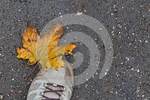 Autumn shoe sale. Boots and a yellow maple leaf