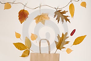 Autumn shopping with discounts. Autumn sales. Kraft beige paper shopping bag, from which look out autumn yellow leaves. Copy space