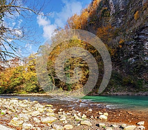 The autumn shore of the Khosta River. Sochi, Russia.