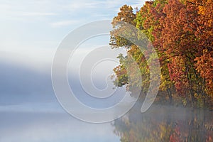 Autumn Shoreline in Fog