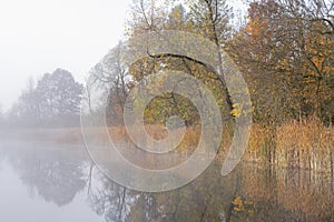 Autumn Shoreline of Whitford Lake in Fog