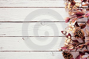 Autumn side border of berries, pine cones and dusty red leaves against a white wood background