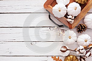 Autumn side border with tray of white pumpkins and decor over a white wood background