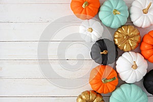 Autumn side border of various colorful pumpkins on white wood