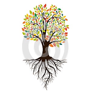 Autumn silhouette of a tree with colored leaves. Tree with roots. Isolated on white background. Vector