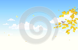 Autumn sky background