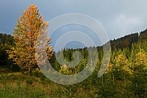 Autumn in Slovak Mountains