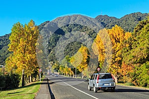 Autumn in a small New Zealand town