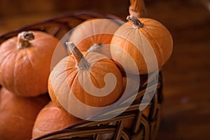 Autumn small orange pumpkin on a wooden table  the harvest  the symbol of Halloween