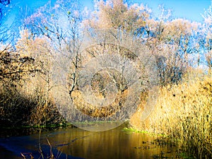 Autumn small river and the first autumn ice