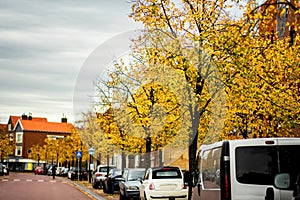 Autumn in a small town with old houses and canal bridges in the Netherlands