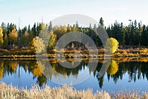 Autumn on Snake River