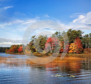 Autumn At Somes Pond