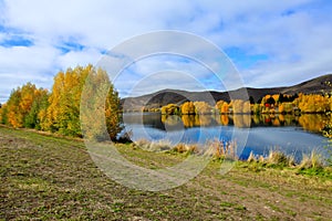 Autumn in South Island New Zealand.