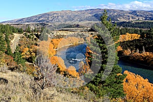 Autumn in South Island New Zealand.