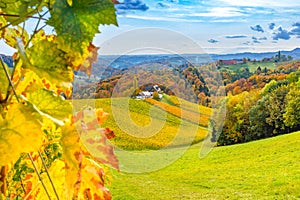 Autumn at South Styria vineyards Austrian Tuscany, a charming region on the border between Austria and Slovenia with rolling